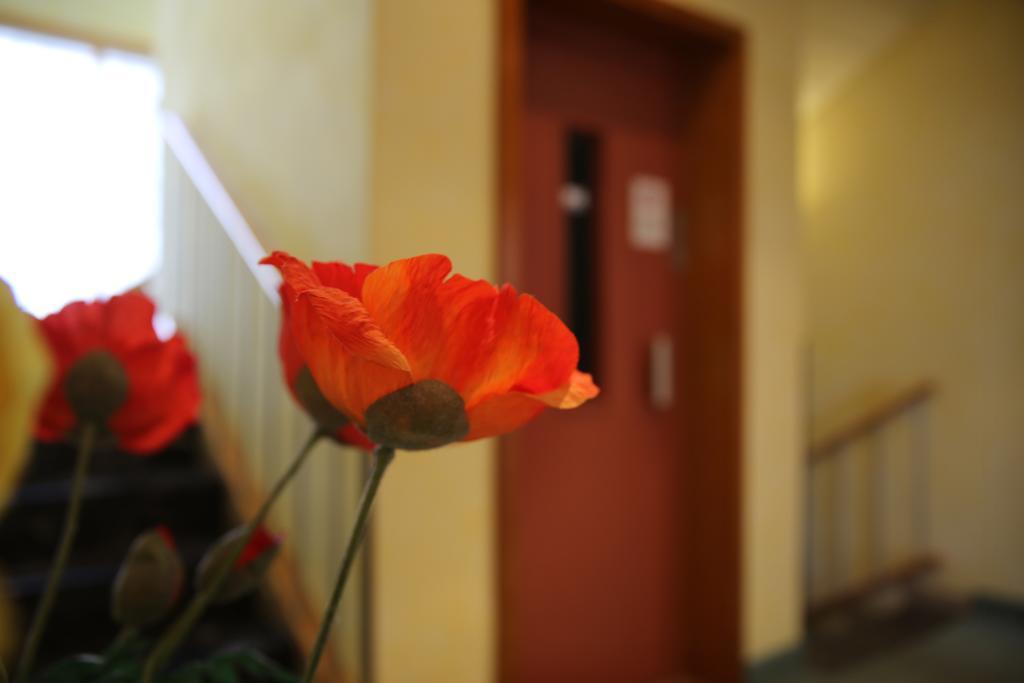 Hotel Zum Weissen Roessel Walldorf  Zewnętrze zdjęcie